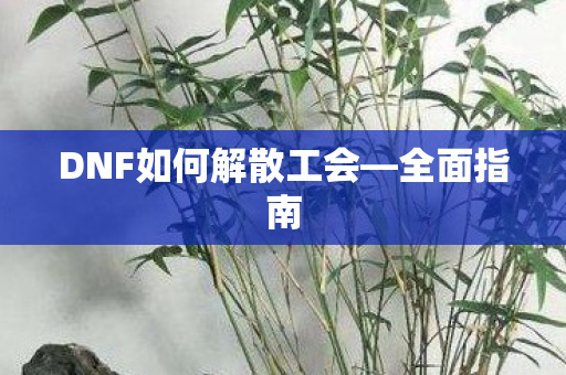 DNF如何解散工会图片