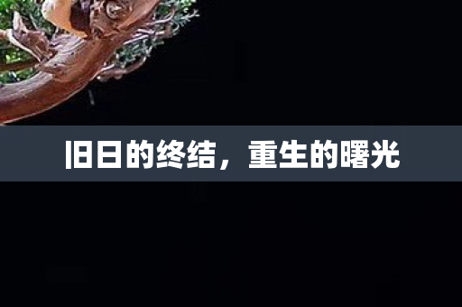 旧日的终结图片