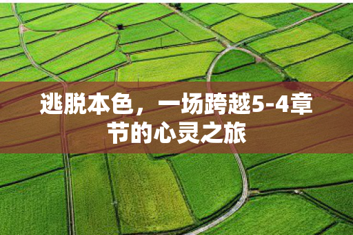 4章节的心灵之旅图片