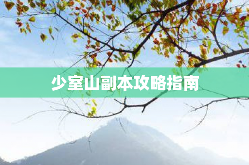 少室山副本攻略指南图片