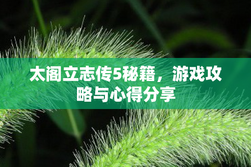 游戏攻略与心得分享图片