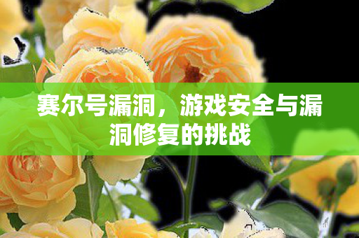 游戏安全与漏洞修复的挑战图片