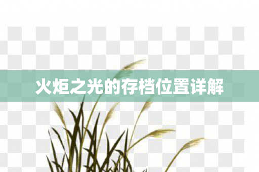 火炬之光的存档位置详解图片