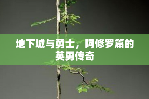 阿修罗篇的英勇传奇图片