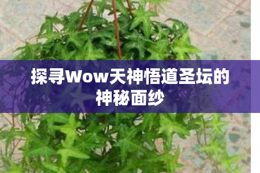探寻Wow天神悟道圣坛的神秘面纱图片