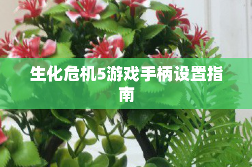 生化危机5游戏手柄设置指南图片