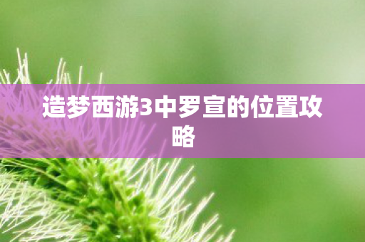 造梦西游3中罗宣的位置攻略图片