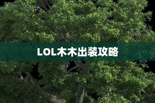 LOL木木出装攻略图片