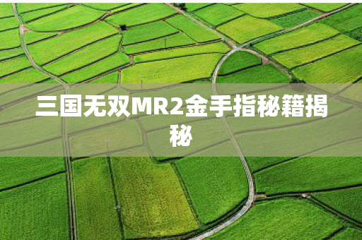 三国无双MR2金手指秘籍揭秘图片
