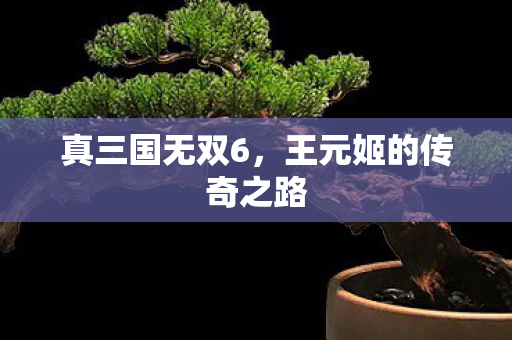 王元姬的传奇之路图片