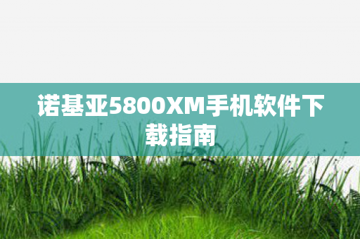 诺基亚5800XM手机软件下载指南图片