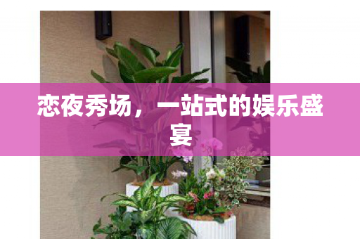 一站式的娱乐盛宴图片