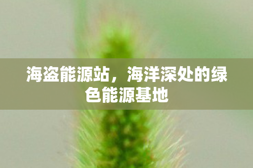 海洋深处的绿色能源基地图片