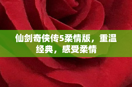 仙剑奇侠传5柔情版图片