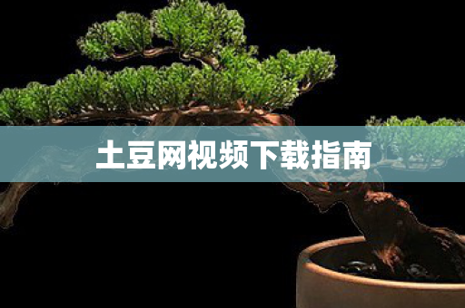土豆网视频下载指南图片