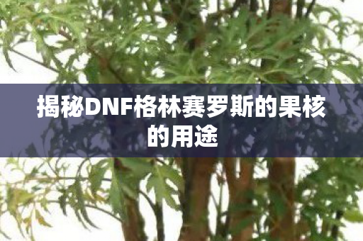 揭秘DNF格林赛罗斯的果核的用途图片