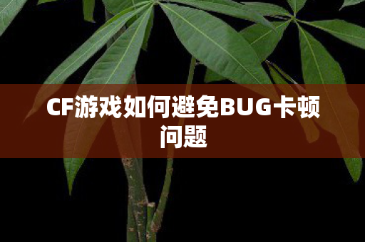 CF游戏如何避免BUG卡顿问题图片