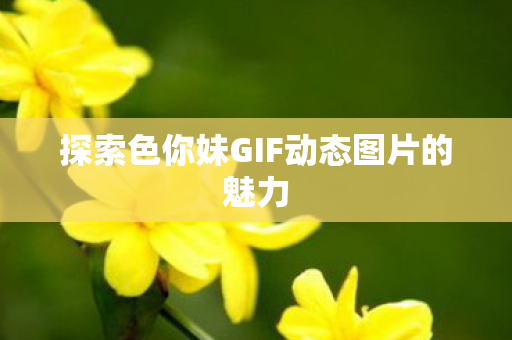 探索色你妹GIF动态图片的魅力图片