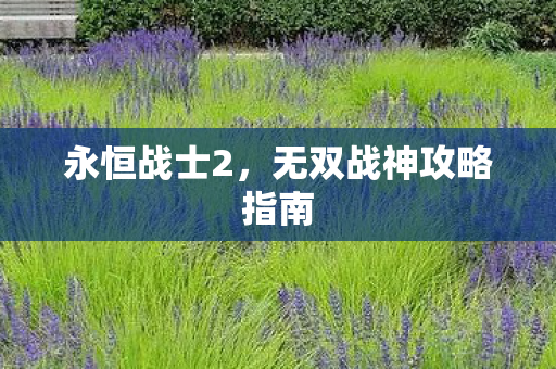 无双战神攻略指南图片