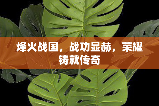 荣耀铸就传奇图片