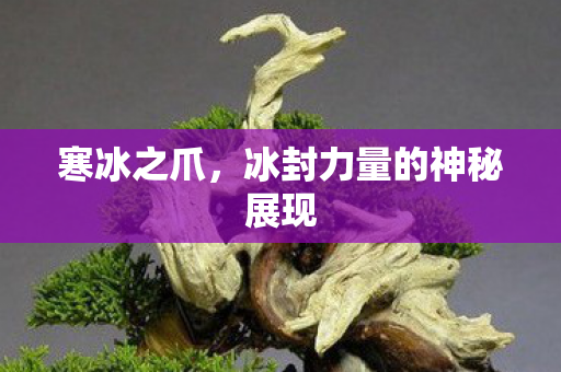 冰封力量的神秘展现图片