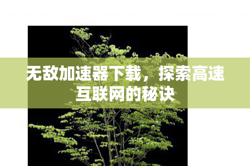 探索高速互联网的秘诀图片