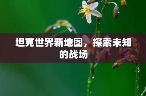 坦克世界新地图图片