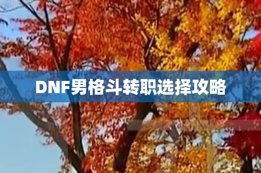 DNF男格斗转职选择攻略图片