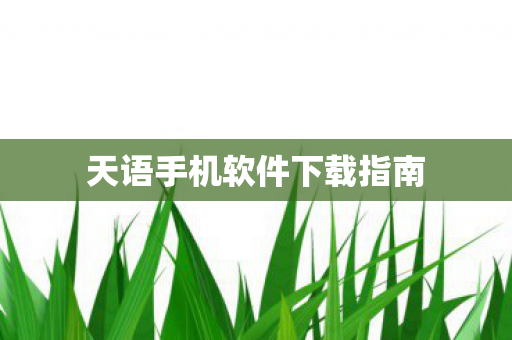 天语手机软件下载指南图片