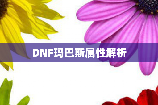 DNF玛巴斯属性解析图片