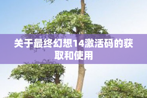 关于最终幻想14激活码的获取和使用图片