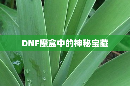 DNF魔盒中的神秘宝藏图片