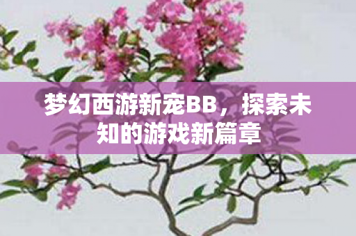 探索未知的游戏新篇章图片