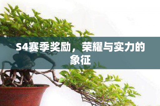 荣耀与实力的象征图片