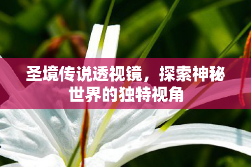 探索神秘世界的独特视角图片