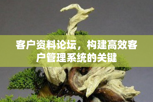构建高效客户管理系统的关键图片
