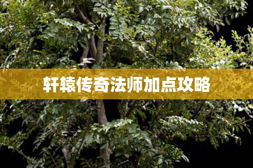 轩辕传奇法师加点攻略图片