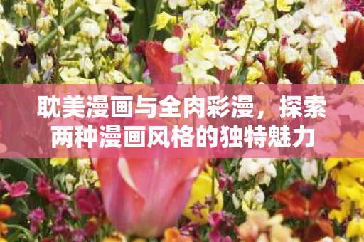 探索两种漫画风格的独特魅力图片