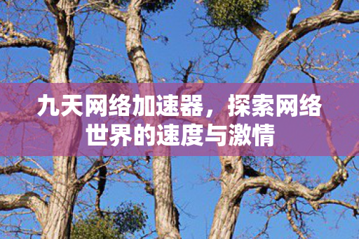 探索网络世界的速度与激情图片