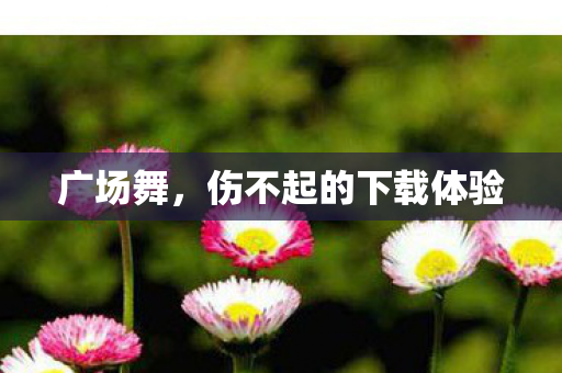 伤不起的下载体验图片