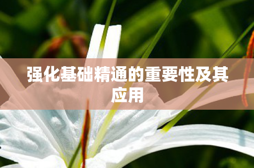强化基础精通的重要性及其应用图片