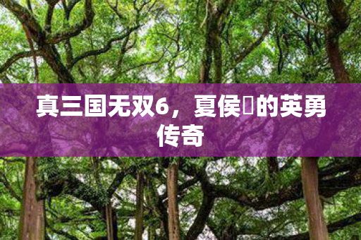 夏侯惇的英勇传奇图片