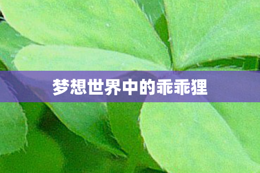 梦想世界中的乖乖狸图片