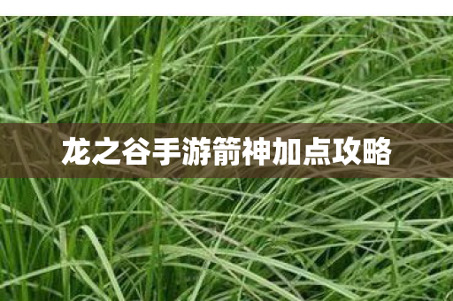 龙之谷手游箭神加点攻略图片