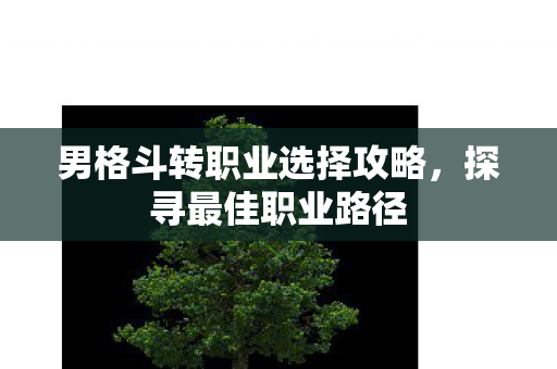 男格斗转职业选择攻略图片