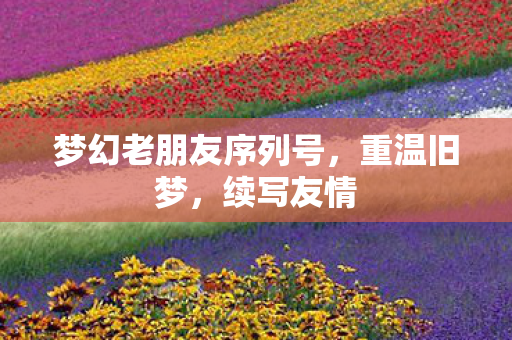 梦幻老朋友序列号图片