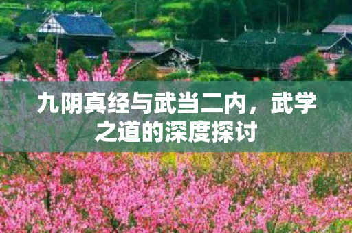 九阴真经与武当二内图片