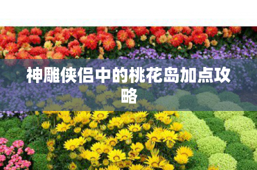神雕侠侣中的桃花岛加点攻略图片