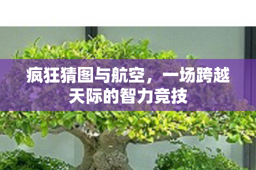 一场跨越天际的智力竞技图片