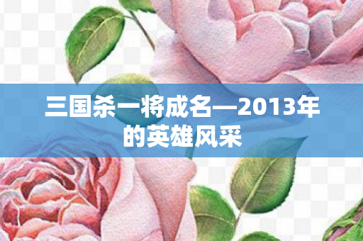 2013年的英雄风采图片